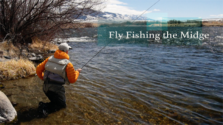 Fly Fishing the Midge