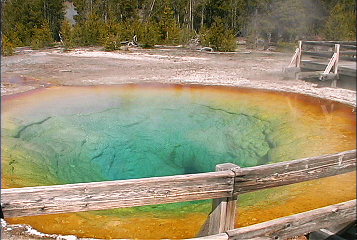 Morning Glory Pool - Wonders of Yellowstone DVD