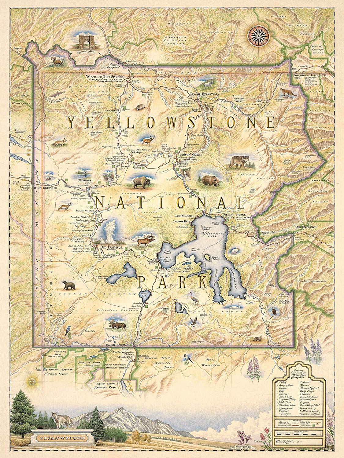 Detailed Map Detailed Yellowstone National Park Map